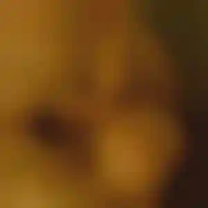 Foto von Heike