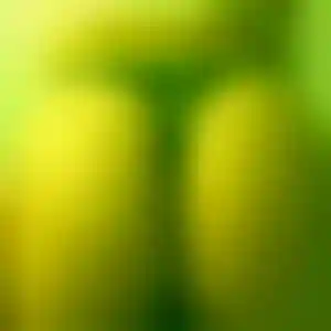 Foto von Marlene