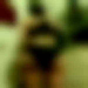 Foto von Nicole