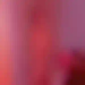 Foto von Stella