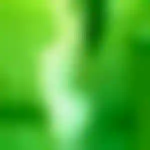 Foto von Lina