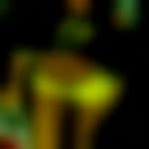 Foto von Johanna