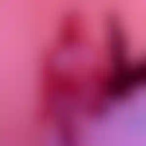 Foto von Stella