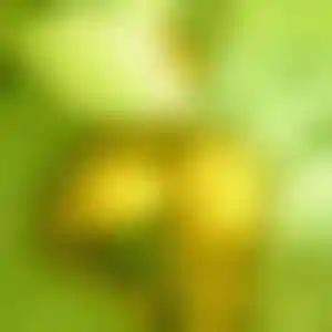 Foto von Manuela