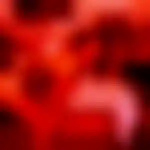 Foto von Sophie
