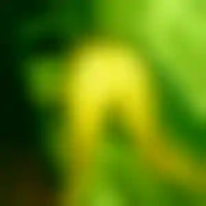 Foto von Manuela