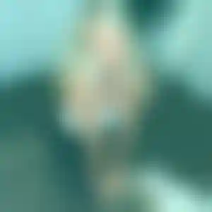 Foto von Celine