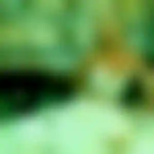 Foto von Ulrike