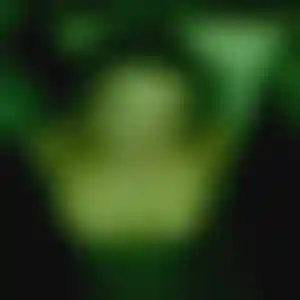 Foto von Ulrike