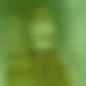 Foto von Selina