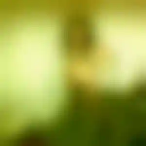 Foto von Chiara