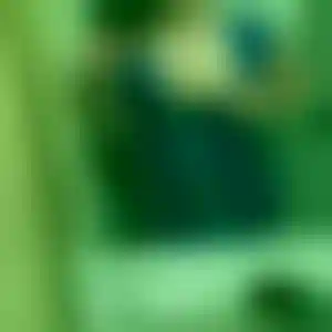 Foto von Isabel