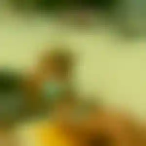 Foto von Renate