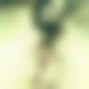Foto von Susanne