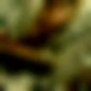 Foto von Marie