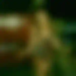 Foto von Josefine