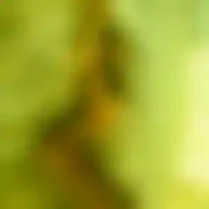 Foto von Carola