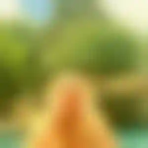 Foto von Monika