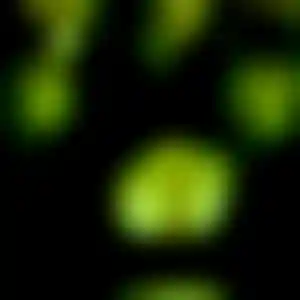 Foto von Elke