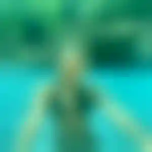Foto von Carina