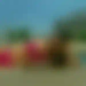 Foto von Marion