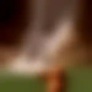 Foto von Jule