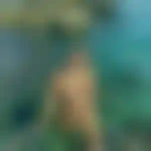 Foto von Kerstin