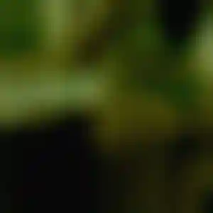 Foto von Carina