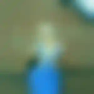 Foto von Manuela