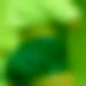 Foto von Bärbel