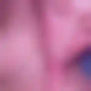 Foto von Carina