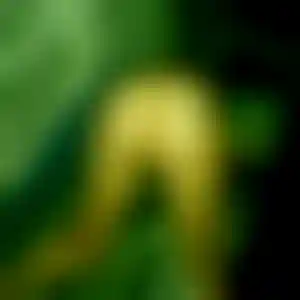 Foto von Dagmar