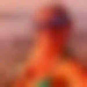 Foto von Dagmar