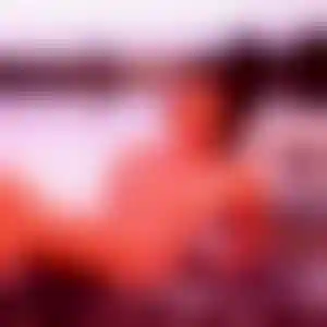 Foto von Sophie