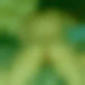 Foto von Selina