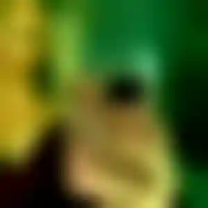 Foto von Heike