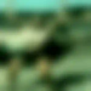 Foto von Katharina