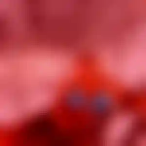 Foto von Elke