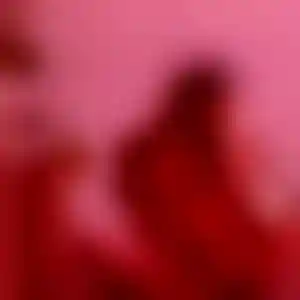 Foto von Pia