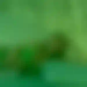 Foto von Grit