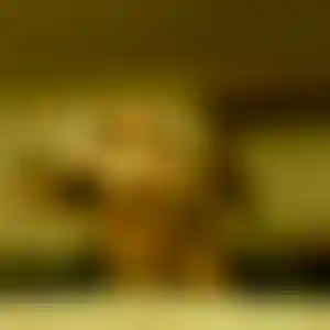 Foto von Nele