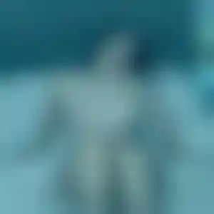 Foto von Heidi