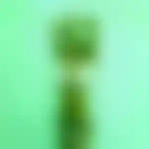Foto von Jasmin