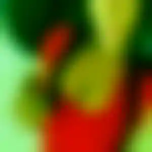 Foto von Antonia