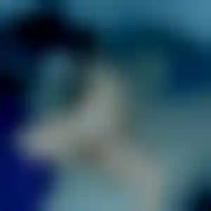 Foto von Tanja