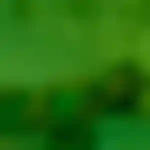 Foto von Nele