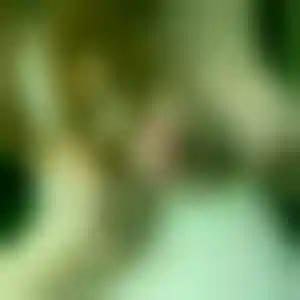 Foto von Carola
