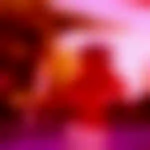 Foto von Diana