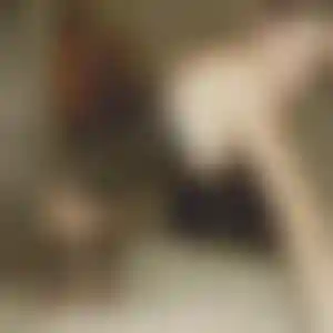 Foto von Silke