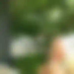 Foto von Anja